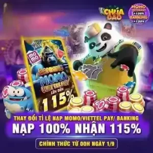 Khuyến mãi hấp dẫn tại TQ247